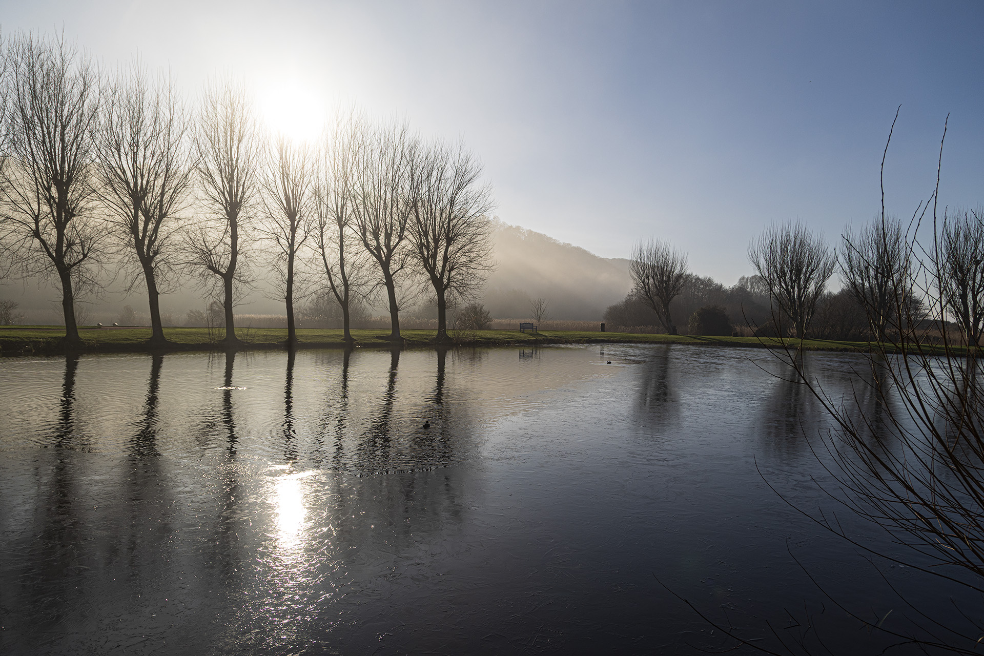 Van poucke jacky honfleur lac gele