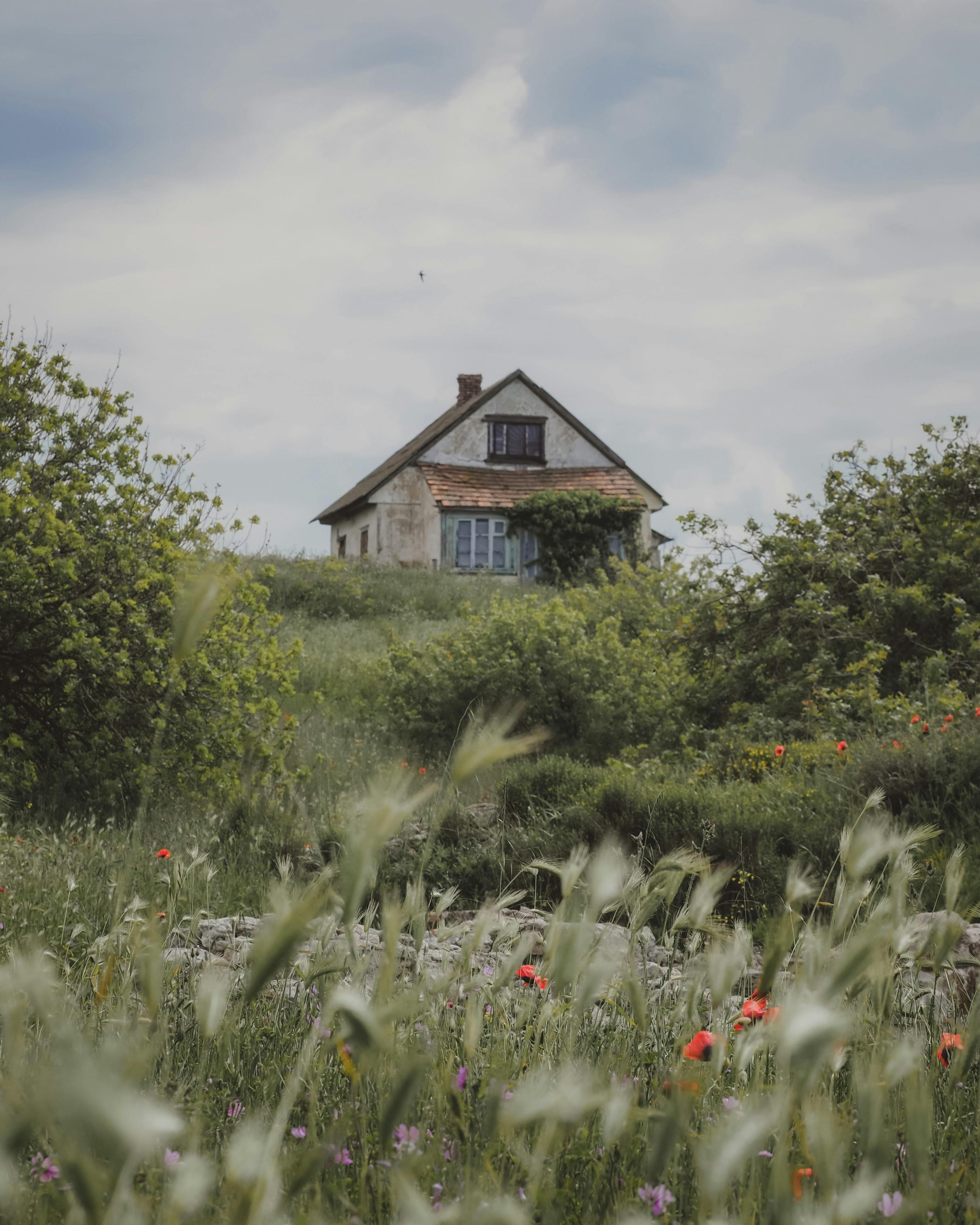 Pexels-nna-medseason-90665568-12247087