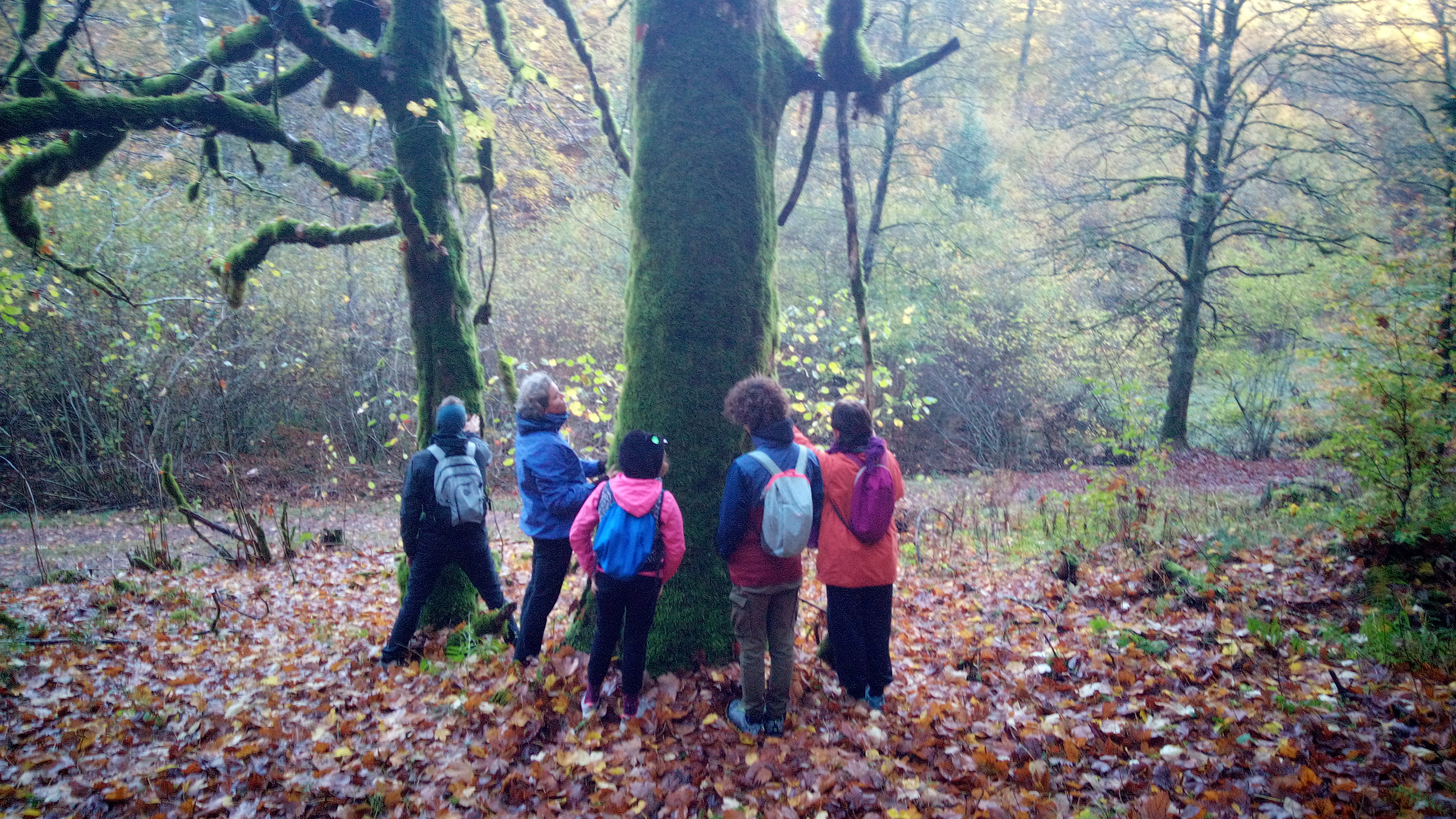 Img 20221027 092003 4