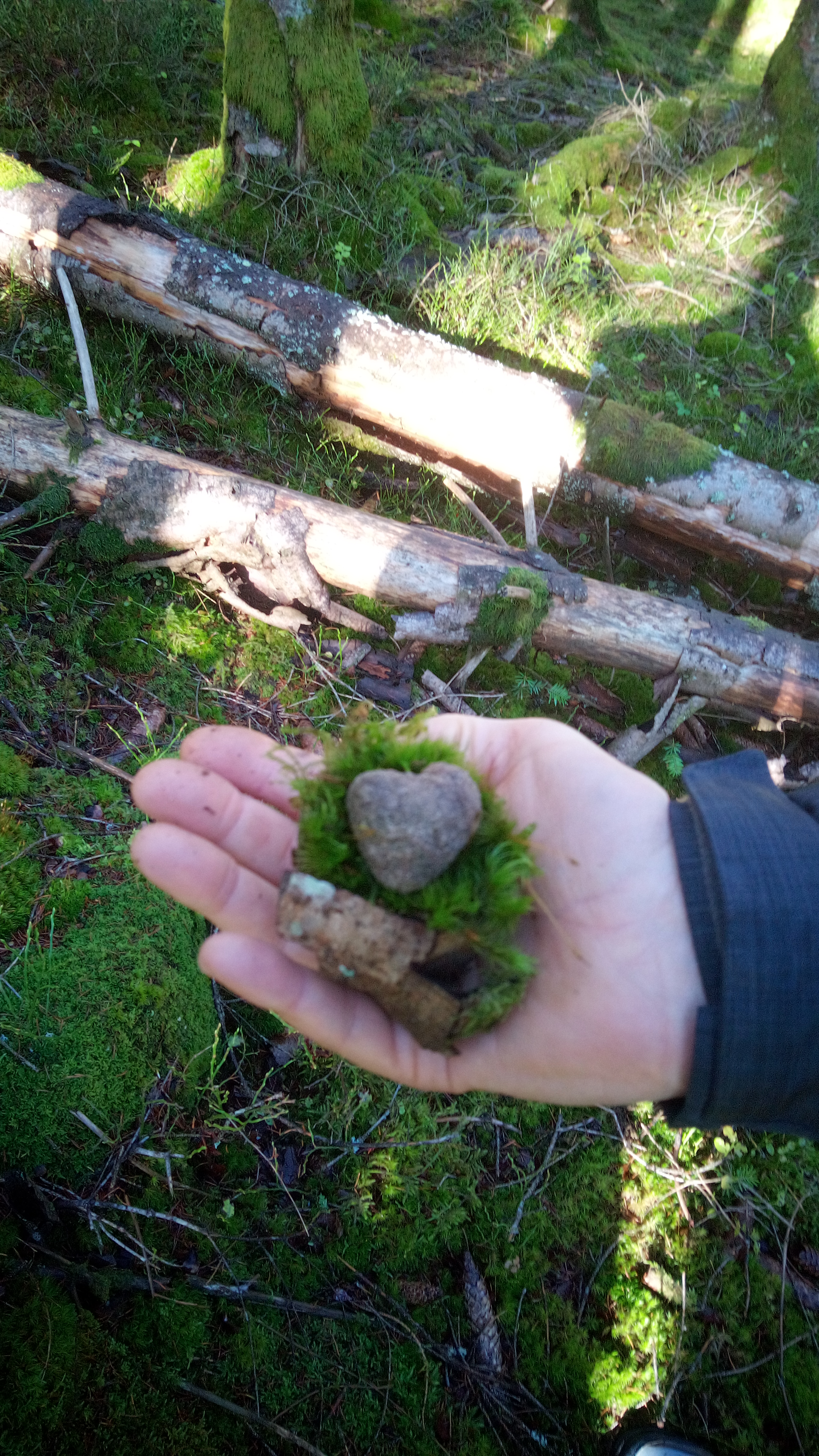 Img 20221027 105904 0