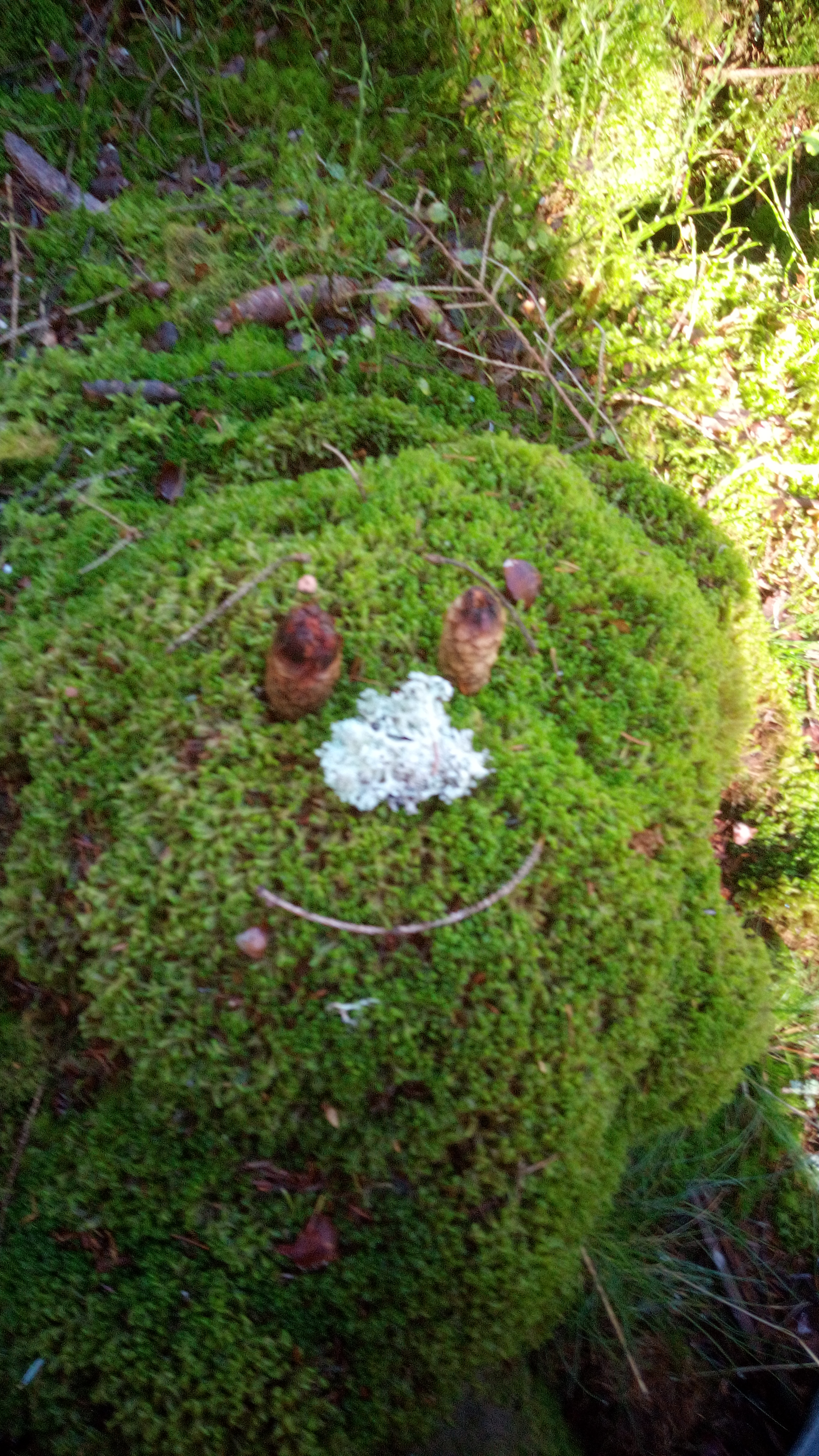 Img 20221027 105156 9