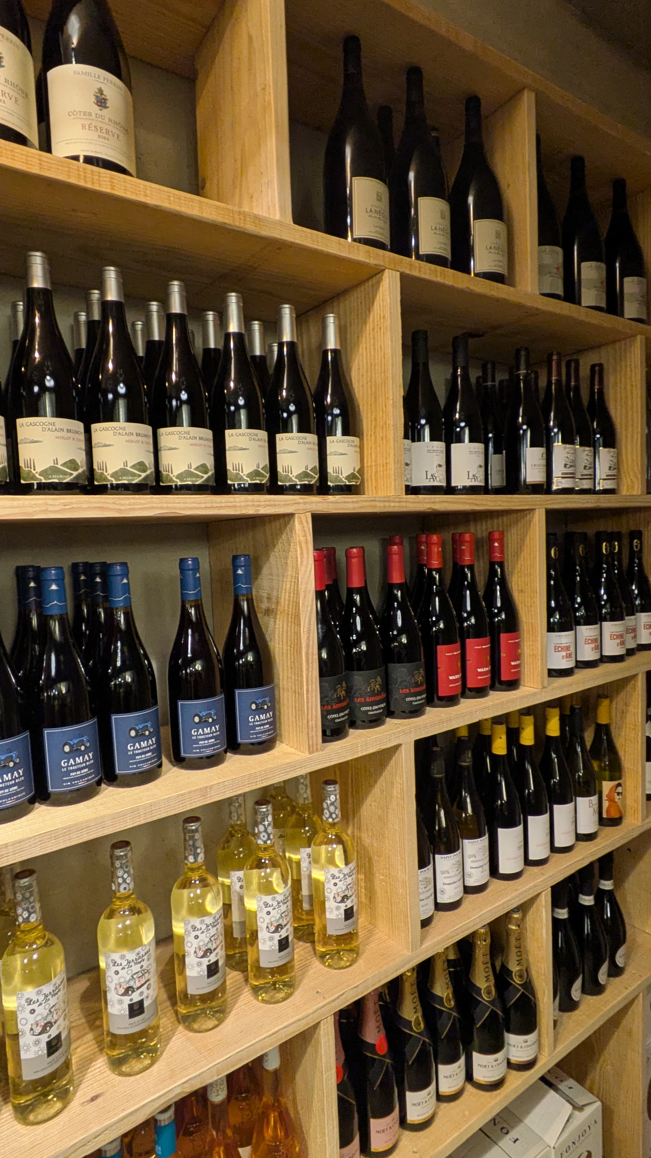 Pxl 20260115 065158744