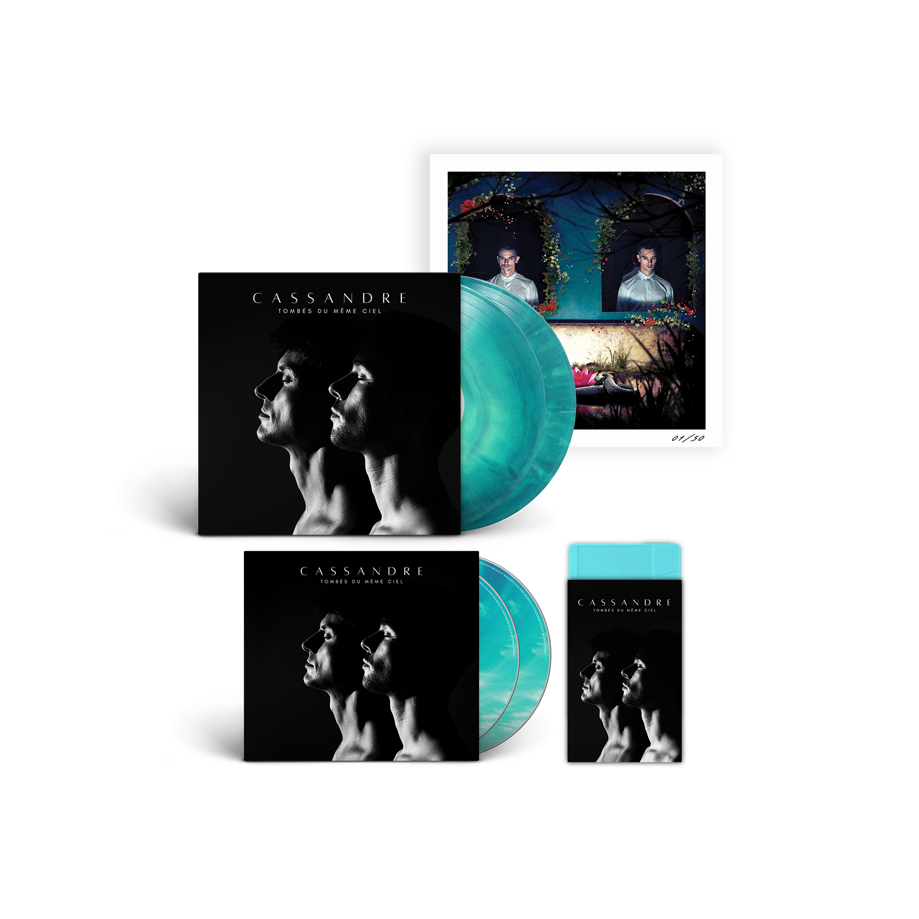 Pulse-records-cassandre-tombesdumemeciel-bundle-edition-septieme-ciel