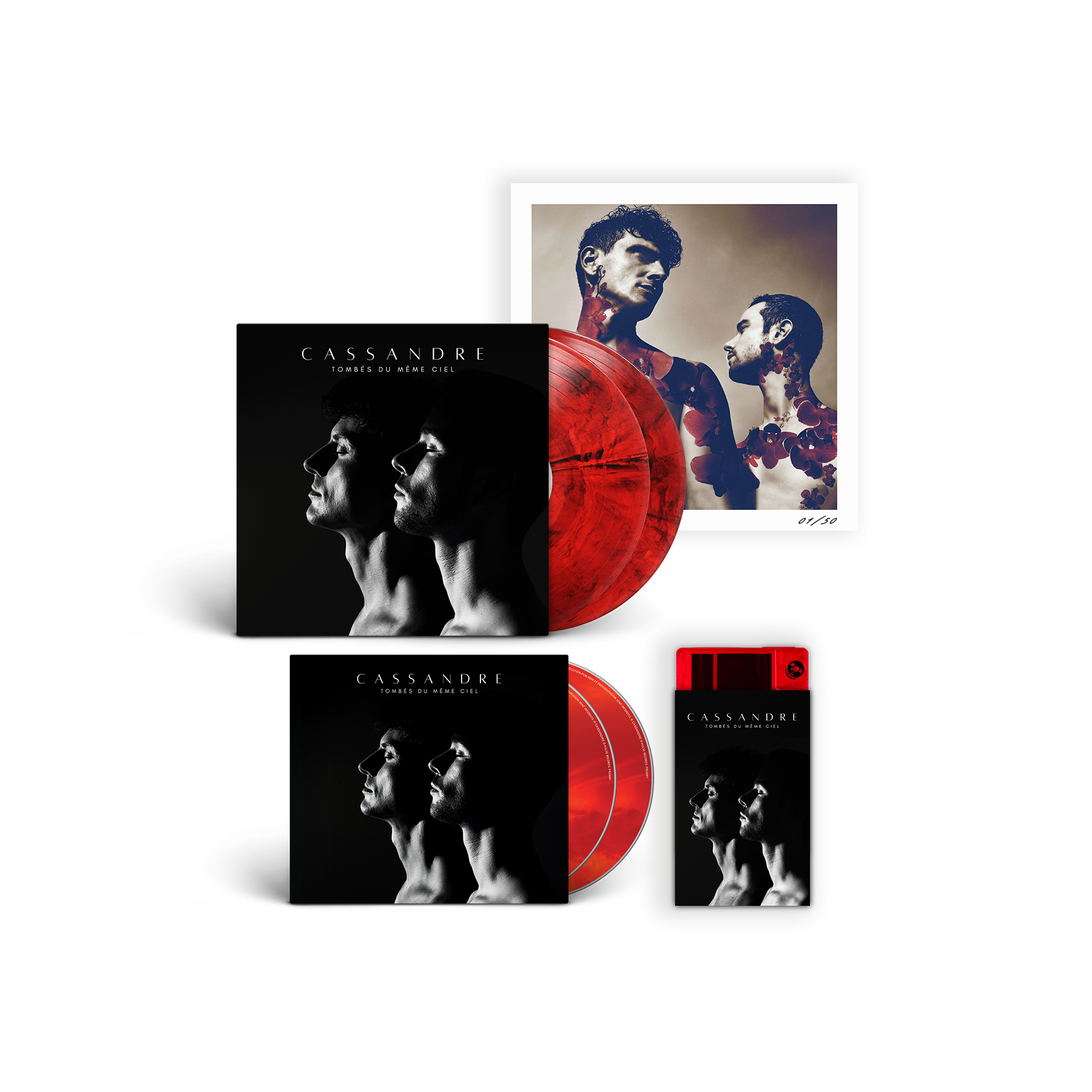 Pulse-records-cassandre-tombesdumemeciel-bundle-edition-diable-au-corps