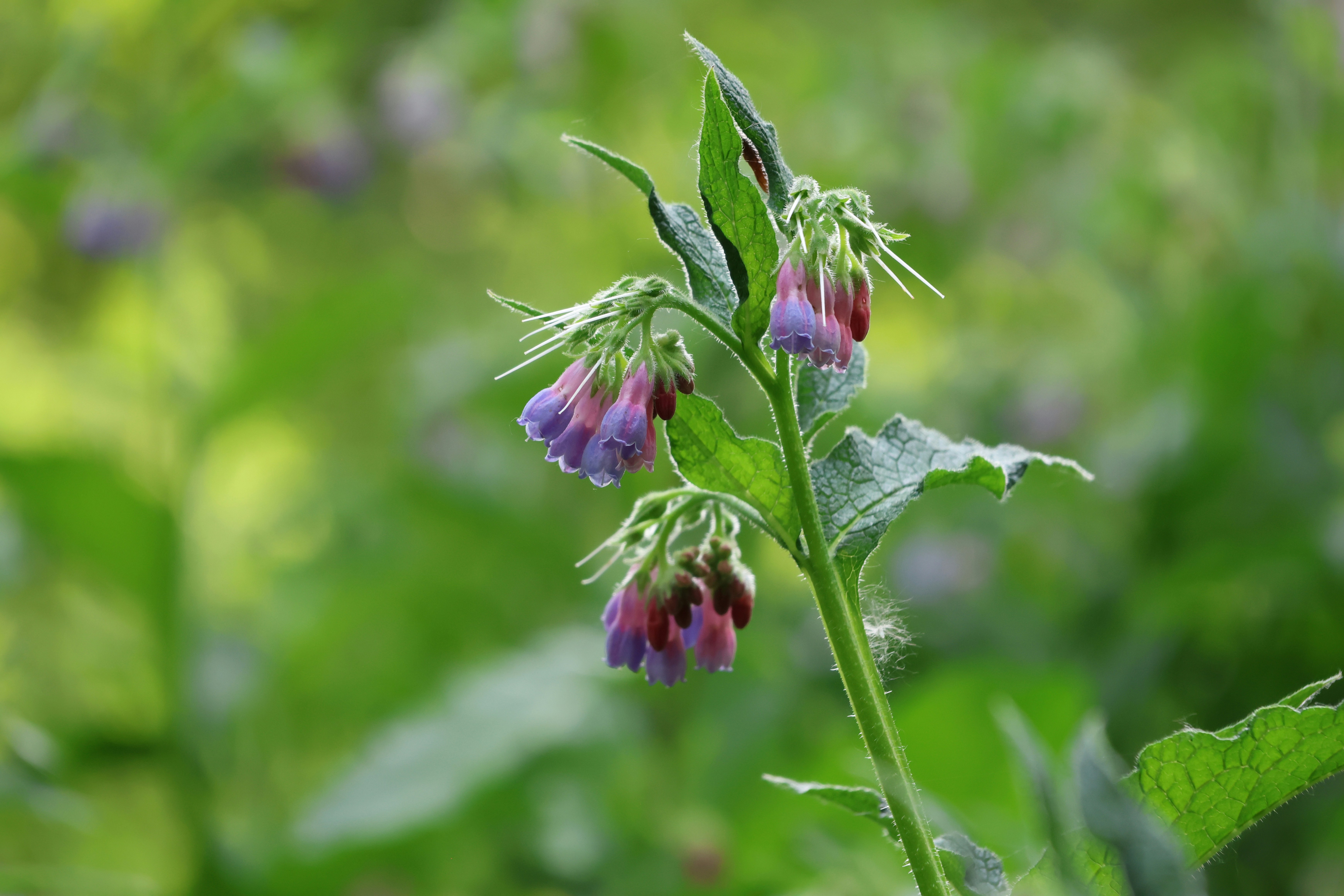 Prince-prajapati-vhHINDxQdyE-unsplash