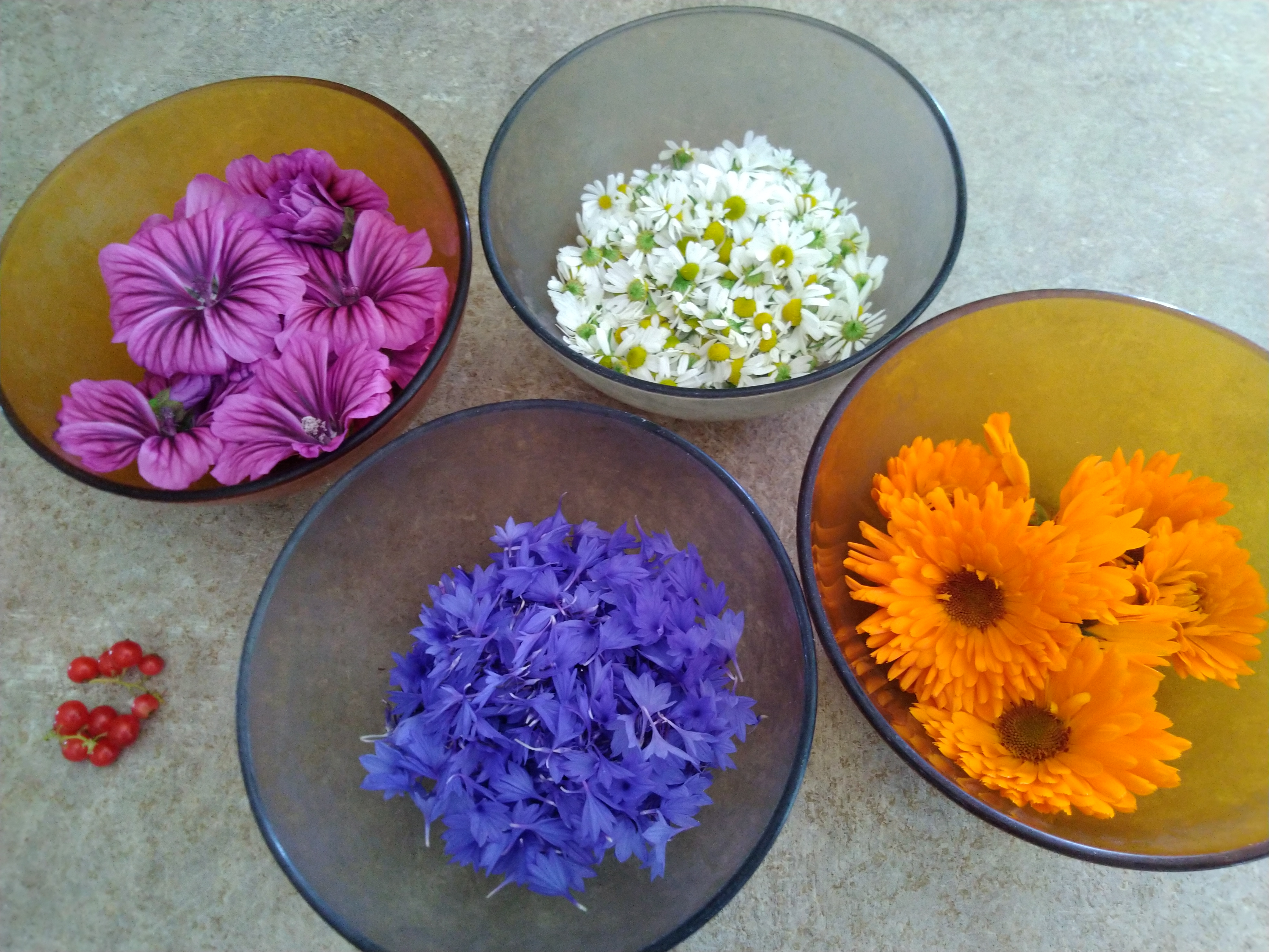 CeuilletteFleur
