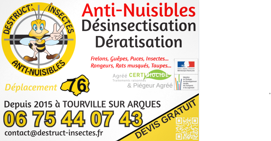 Désinsectisation et dératisation : des solutions professionnelles contre les nuisibles