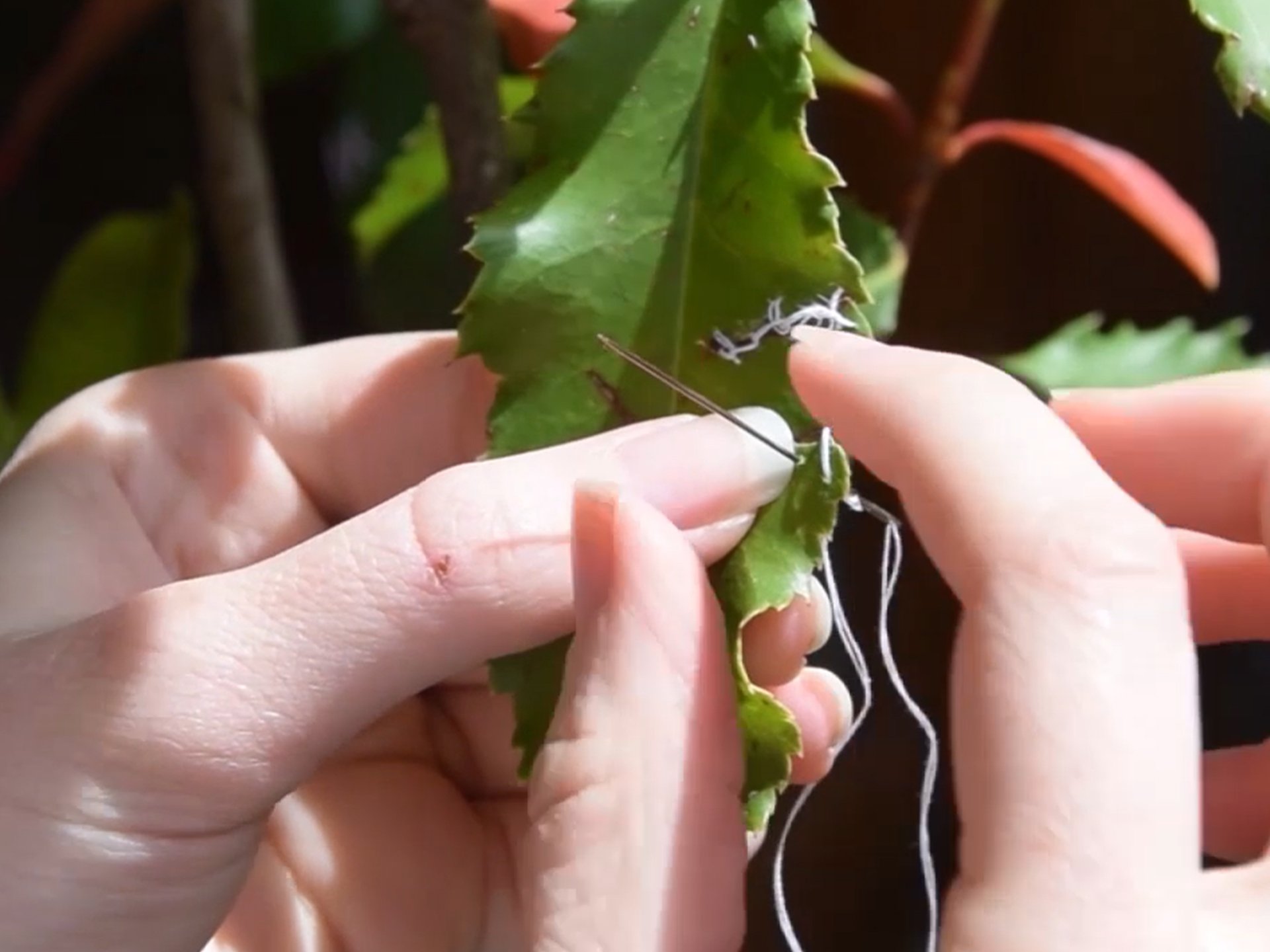 Suture-lorene-roustin-ADAGP-1-