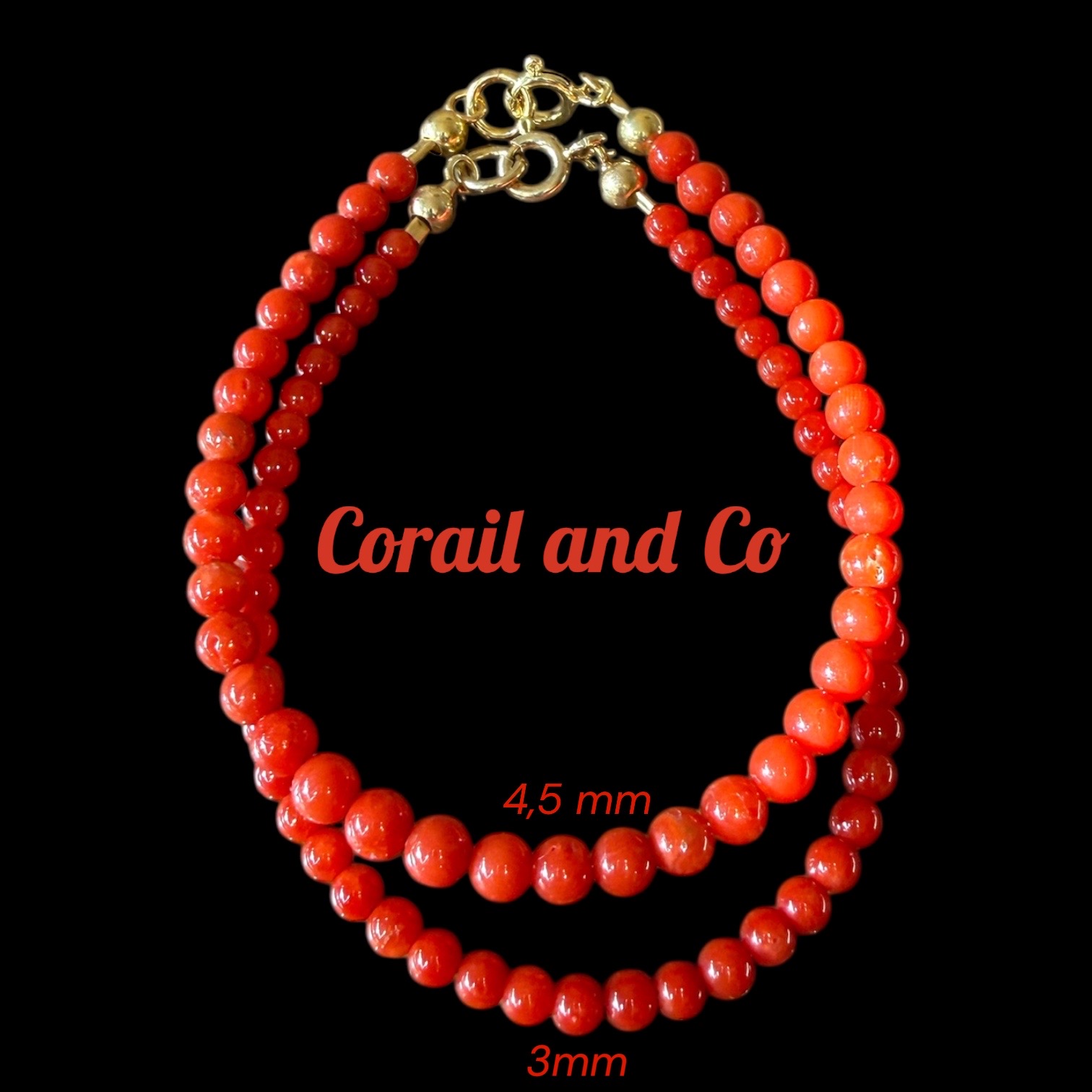 Photoroom 20260124 102009