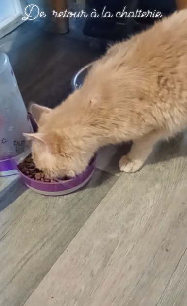 Capture d ecran 2026 01 25 142619