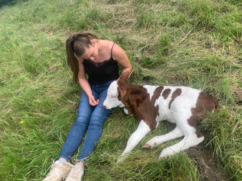 D02ac74a a5bf 4c33 ba96 d0ca933334e7