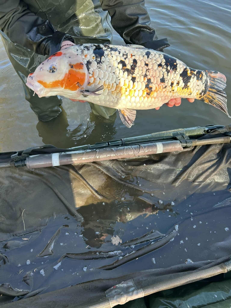 Received 891954423212402