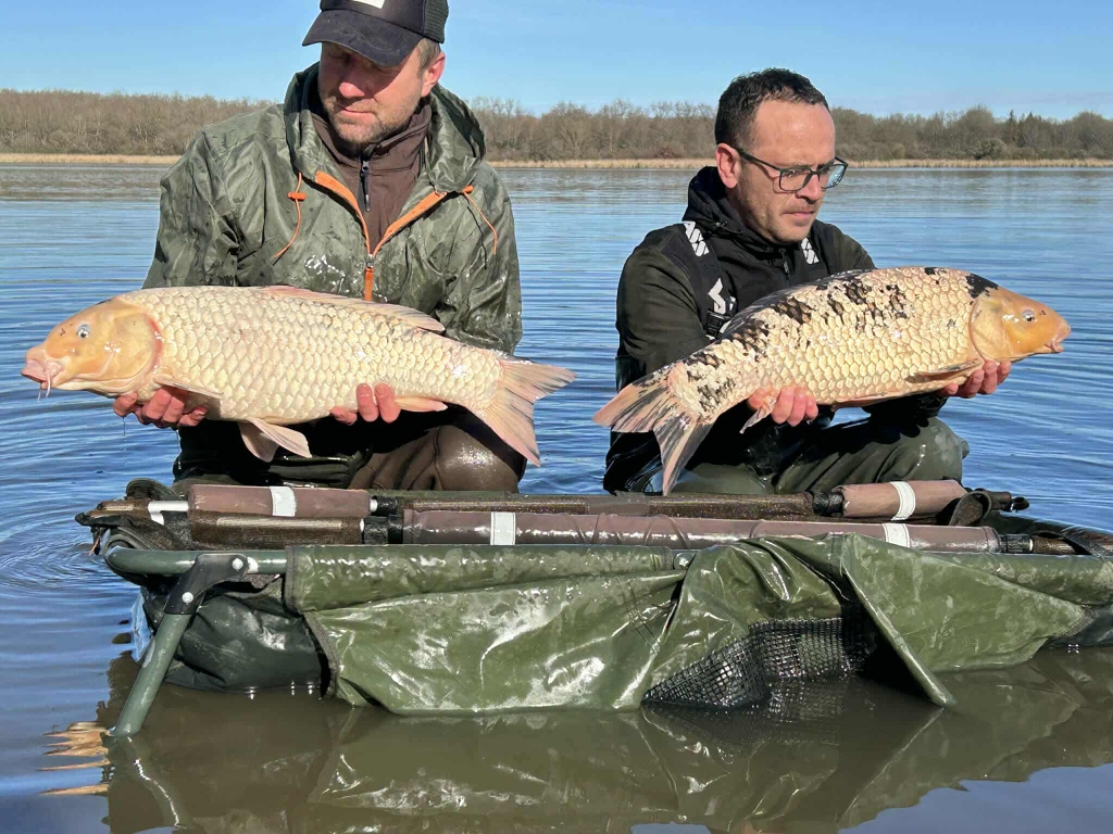 Messenger creation 1202199412019636