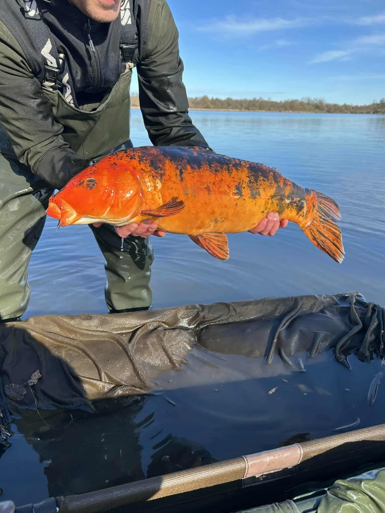 Received 1241989181221264