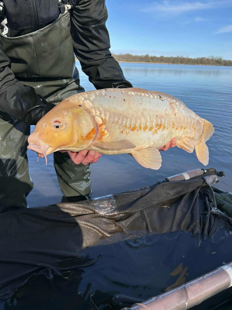 Received 903794272652876