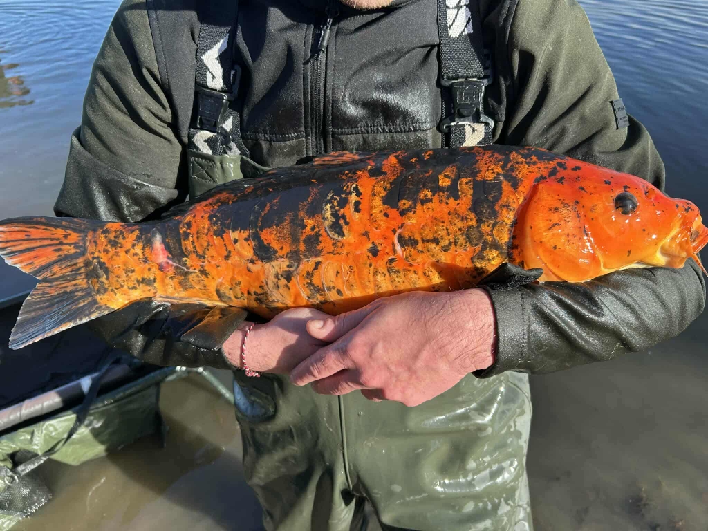 Received 898196452682095