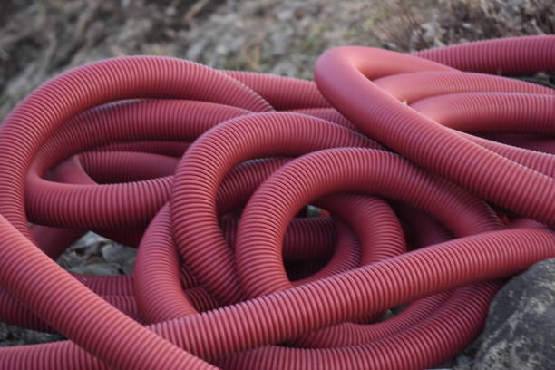 Istockphoto-1303996705-612x612