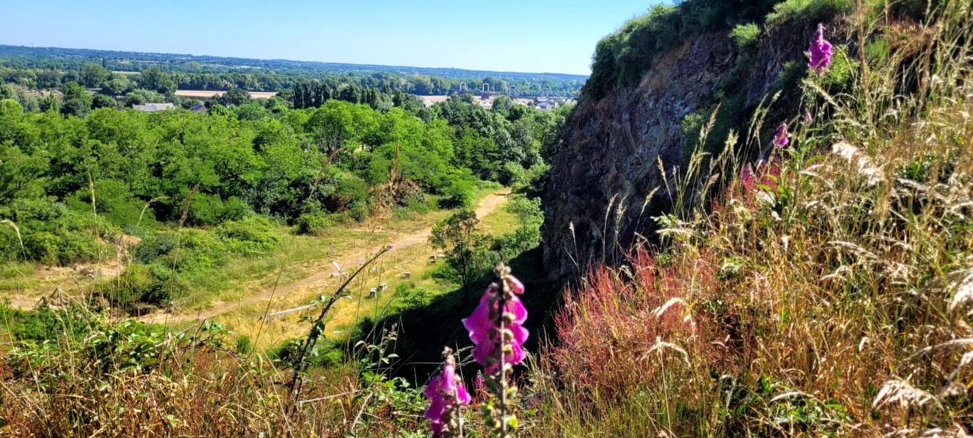 502468559 1162044615966927 7841328734360858354 n