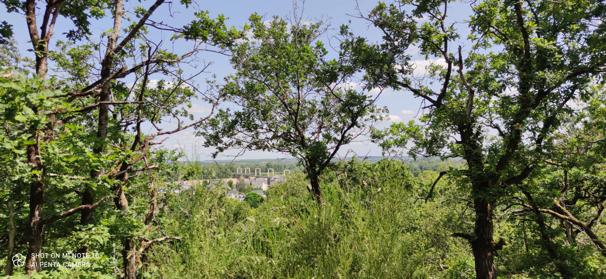 475051754 2382298782135174 1158170949736334002 n