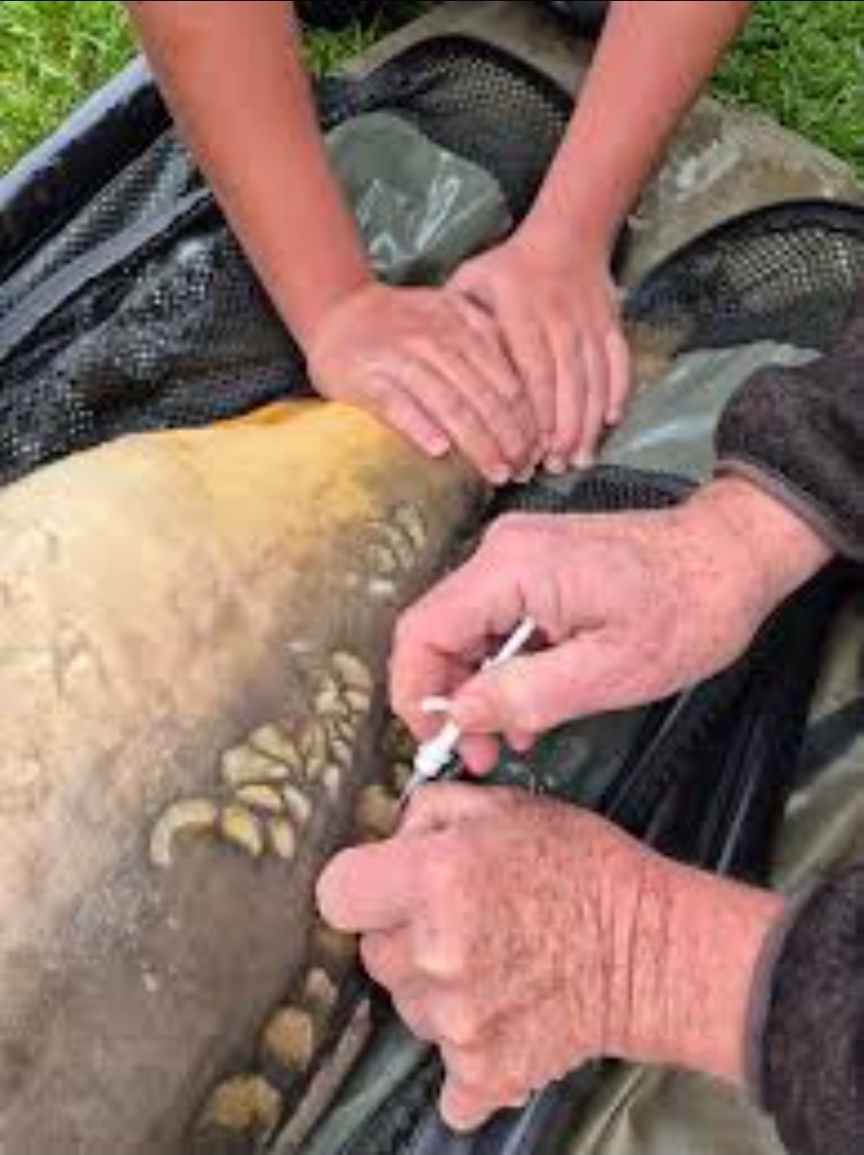 Screenshot 20260125 092525 Google