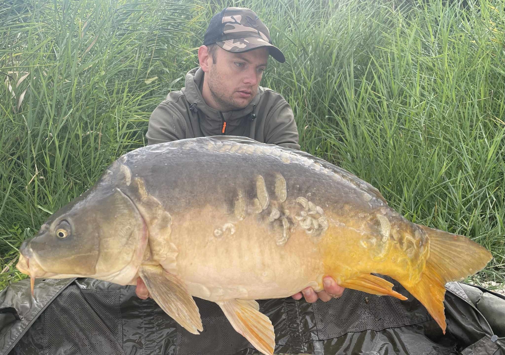 Business-Suite creation 1296377031924851