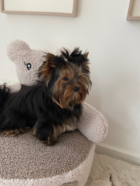 D5a14ad1 1af1 4aaa 8f6d 5e7ca1d635c7