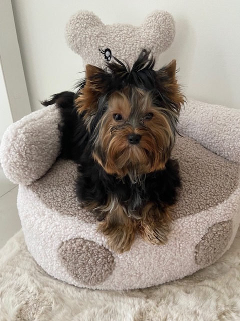 33dd6779 947b 4be5 a8be ca9ef9ee182e