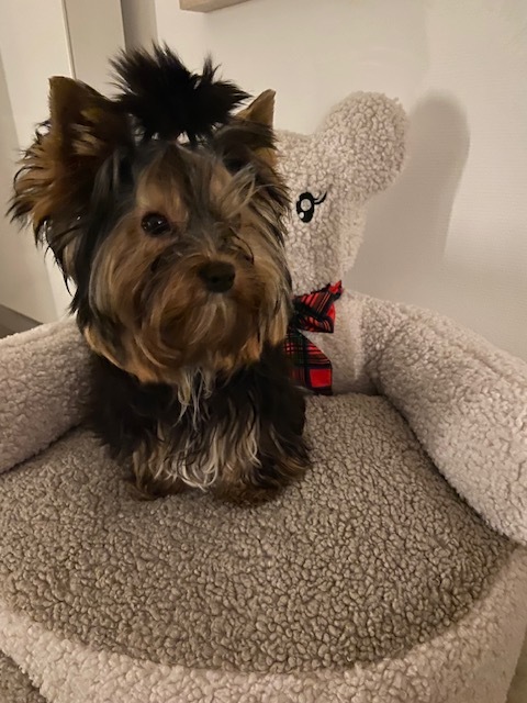 7c2ef6c7 4c2f 4a23 b8da 2ba4be51692d