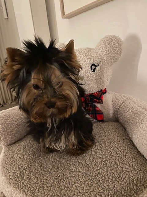 D68e3883 a2ce 4026 b0b2 86aa0cfb016f