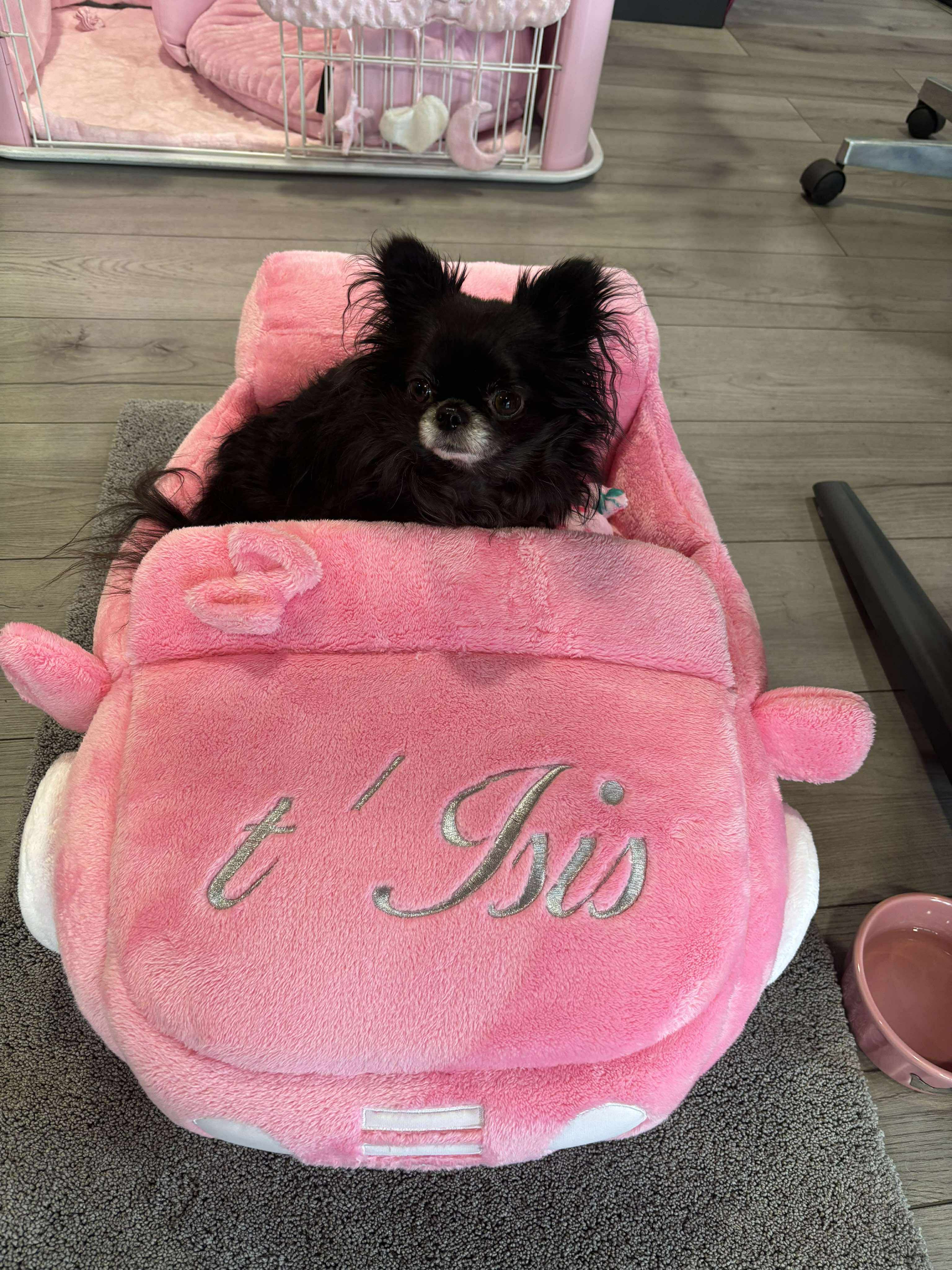 Received 4214868672113618