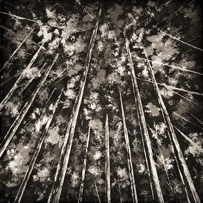 06 sous frondaisons aquatint