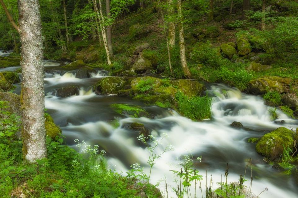 51007040 2147494678622979 6243234598281543680 n-1-