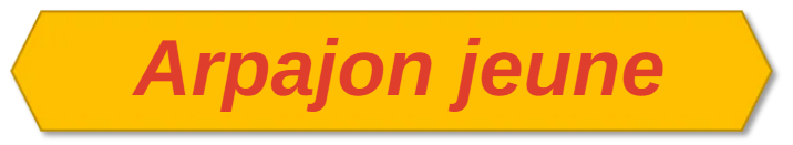 Arpajon-jeune-alveole