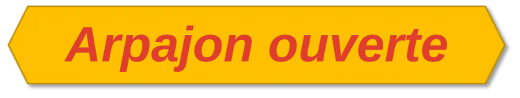 Arpajon-ouverte-alveole