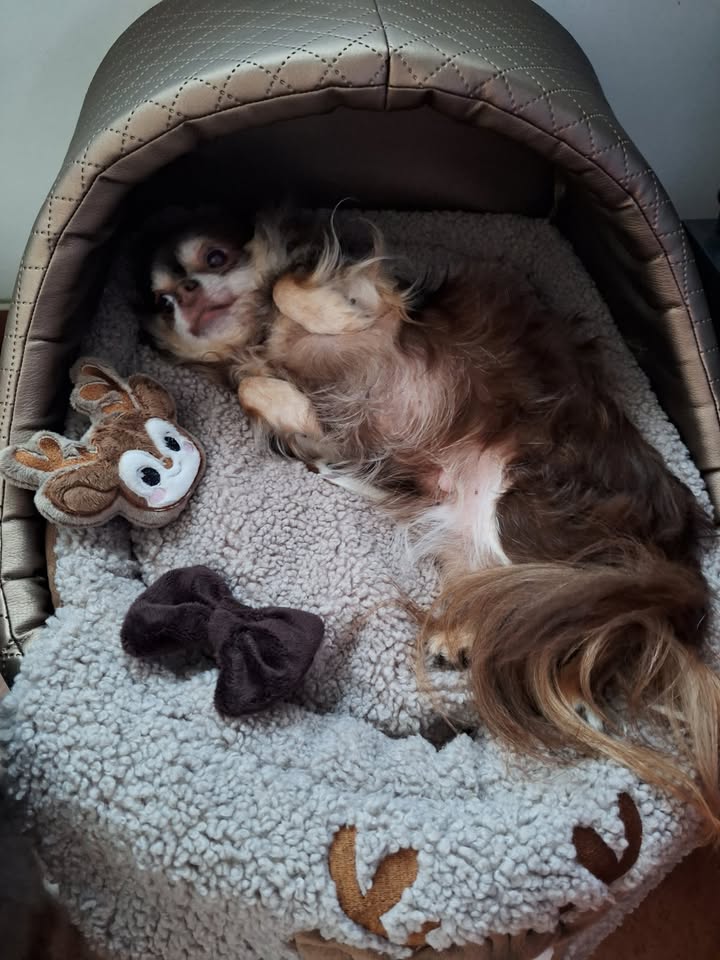 622287442 2292909221558495 4982797489777566696 n