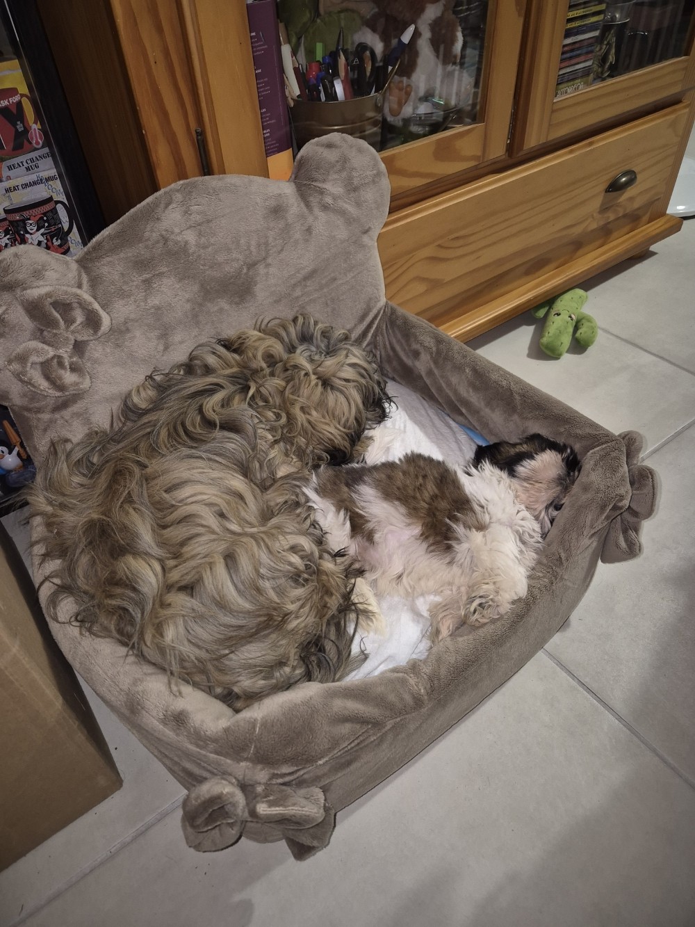 8fd1b67a 242b 4815 b747 a9f1120747c0