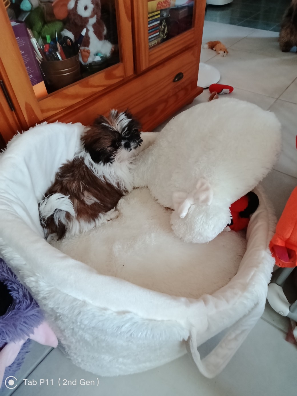 8ac87f7e 65ab 4212 92d5 b3968204c120