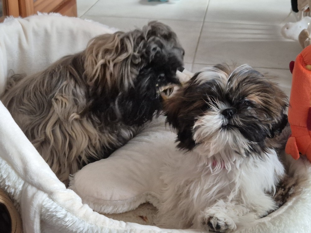 8bba97ae b35c 424e 92eb 64dd7674b17f