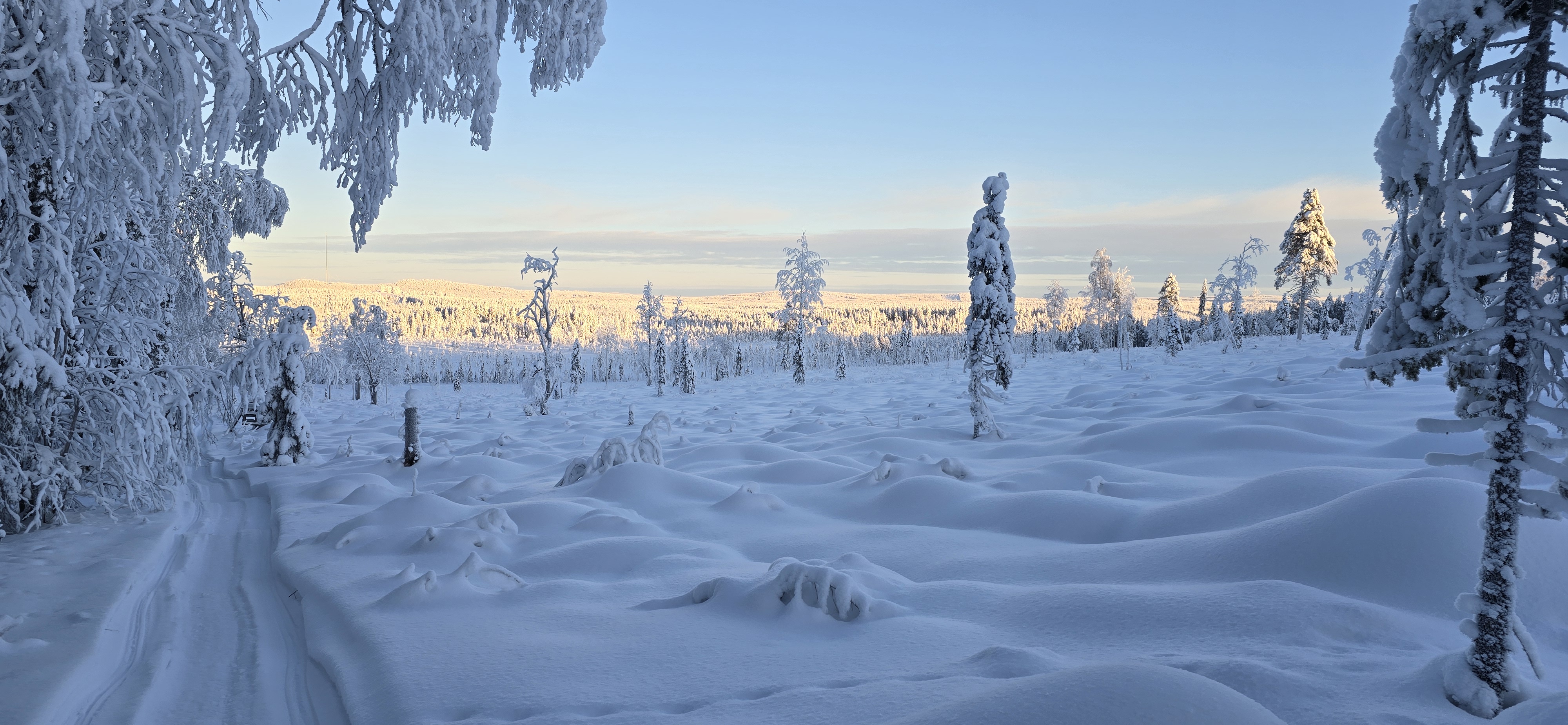 20260127 114243 copie