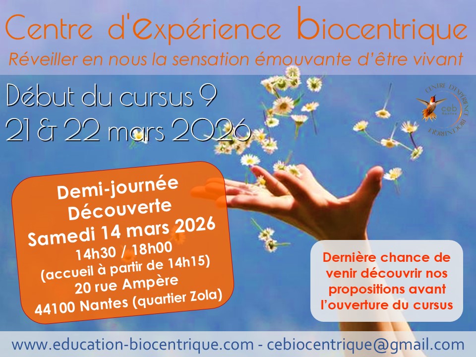 Flyer-demi-journee-decouverte-2026