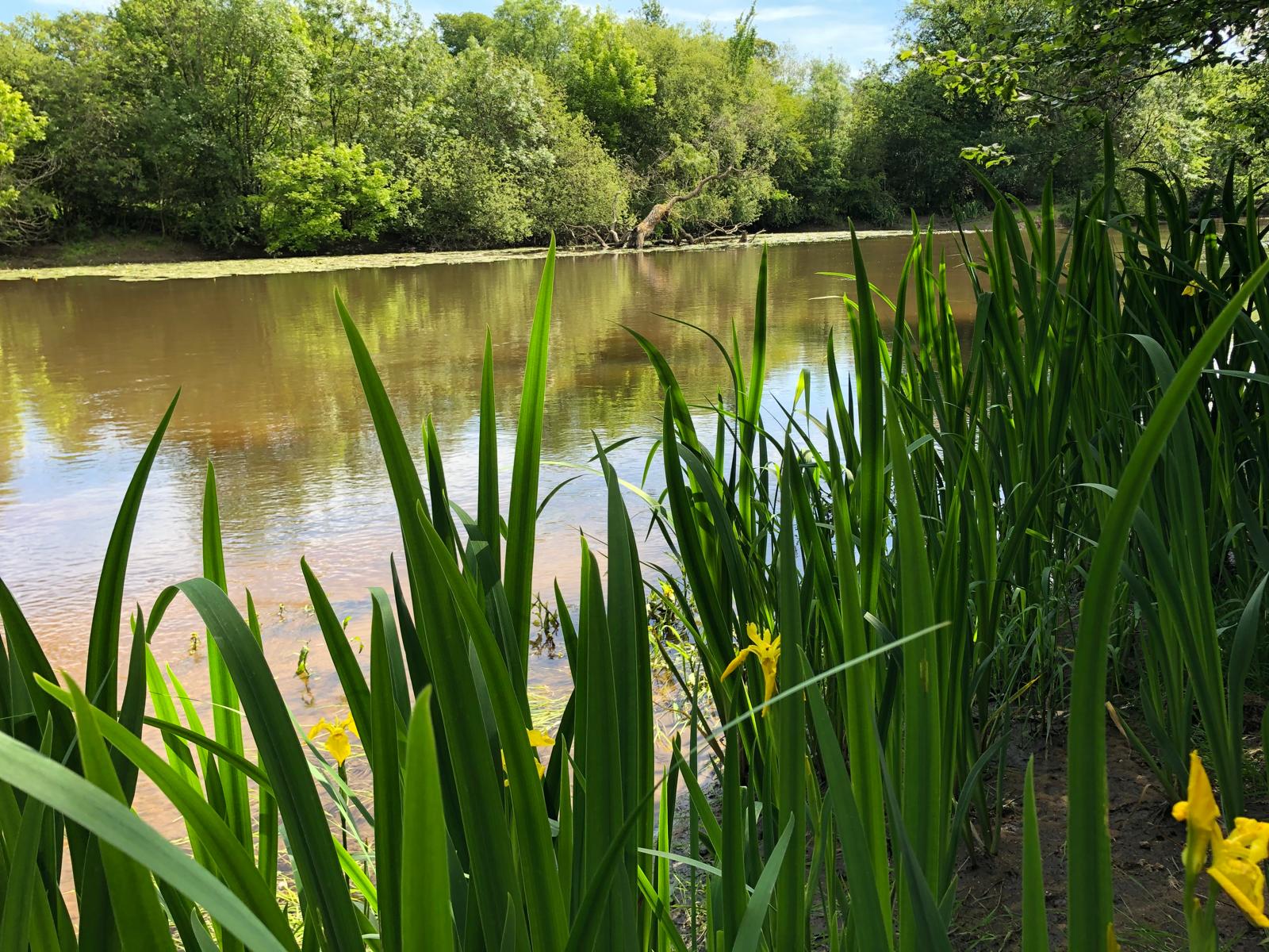 Photo 2026 01 23 15 00 46 5