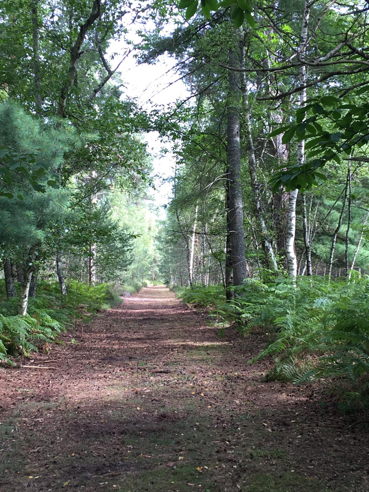 Photo 2026 01 23 15 00 46 2