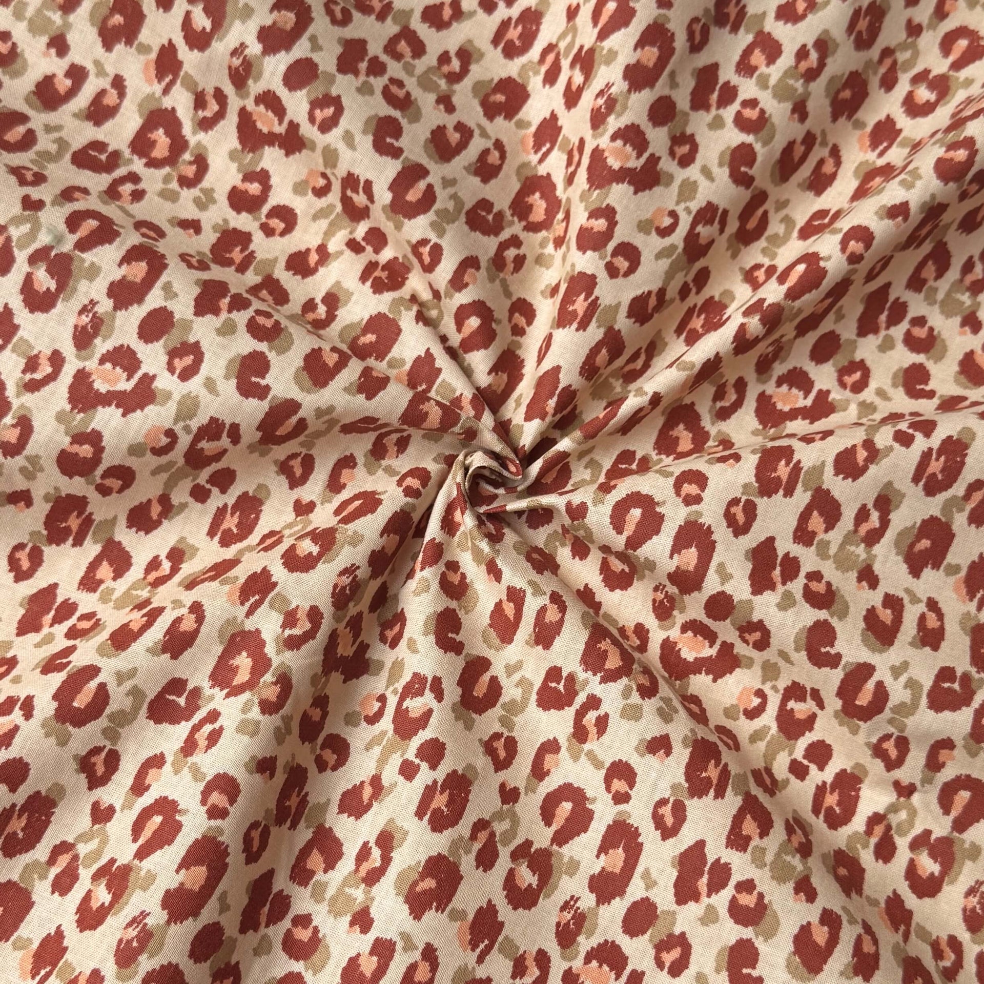 E904baac 1da4 4e8c b232 feb34ca58347