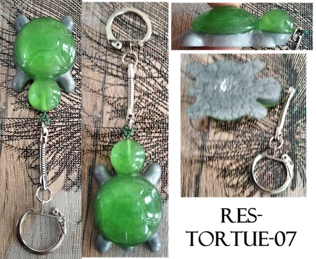 Res tortue 007b