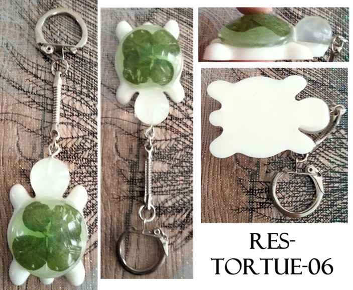 Res tortue 06a
