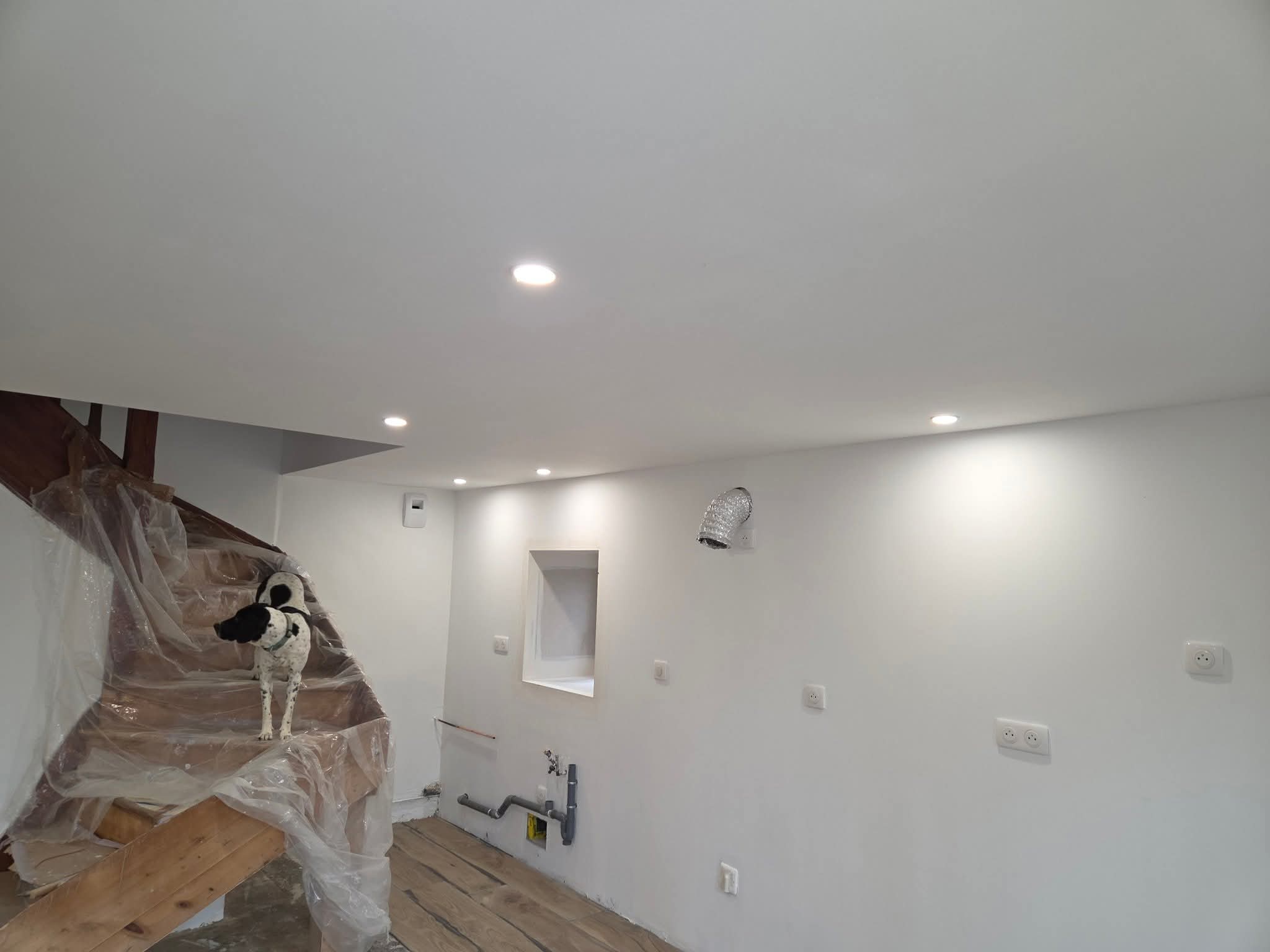 Fb img 1769951206776