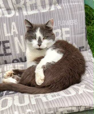 E7a29d40 95c6 4123 995f 09719214926e