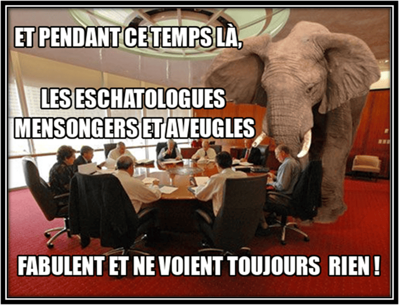 l'éléphan dans la pièce