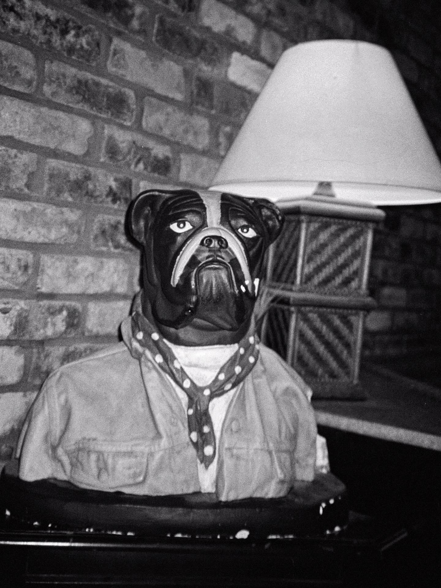 D97a2b42 c2b3 47d2 83bf 4b7a7c2f3b1a