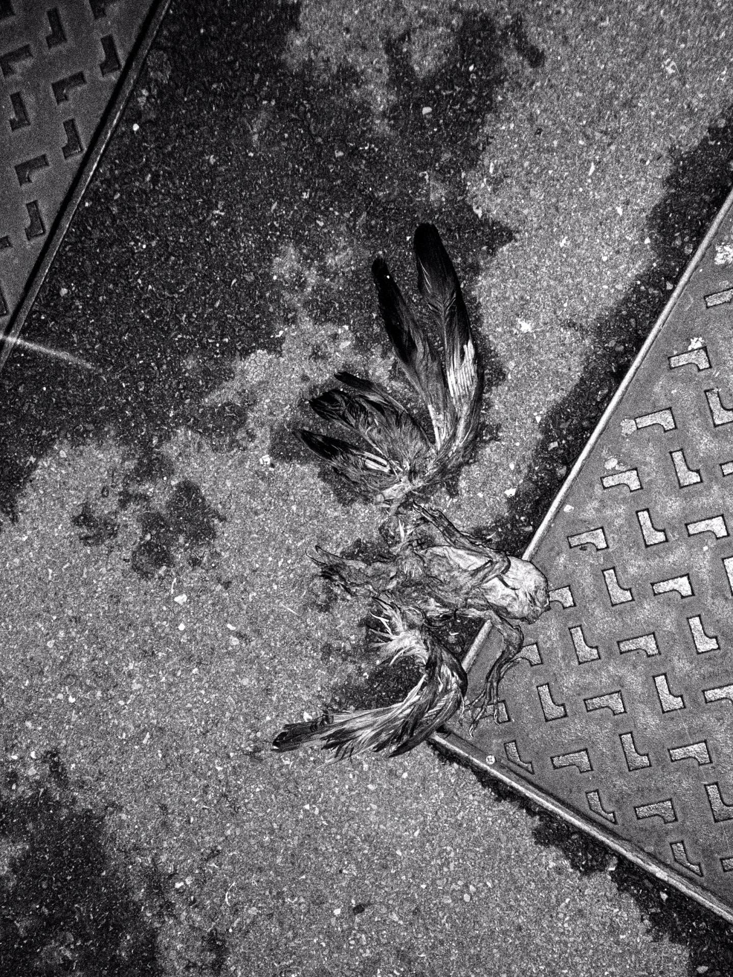 C5f6a322 aa1a 4585 bf46 d15adc635b7c